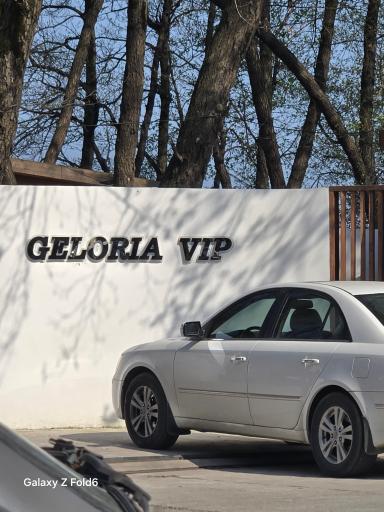 عکس کافه رستوران گلوریا