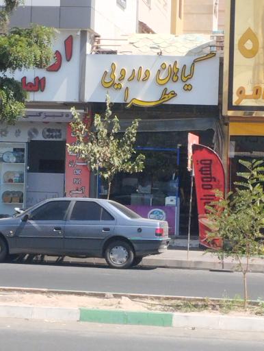 عکس گیاهان دارویی عطرا