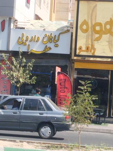 عکس گیاهان دارویی عطرا