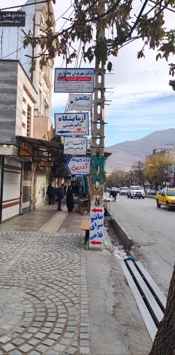 عکس دکتر مهرنوش بختیاری متخصص قلب و عروق