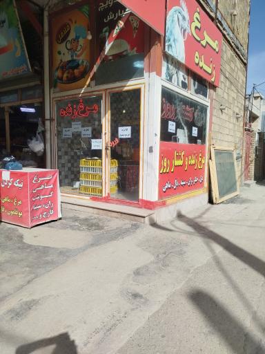 عکس مرغ زنده حقیقی 