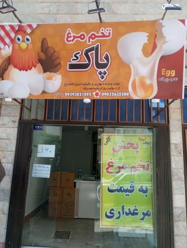 عکس تخم مرغ پاک