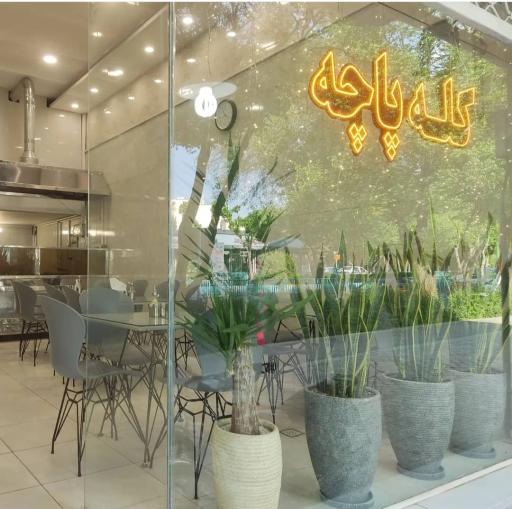 عکس کله پاچه سلطان