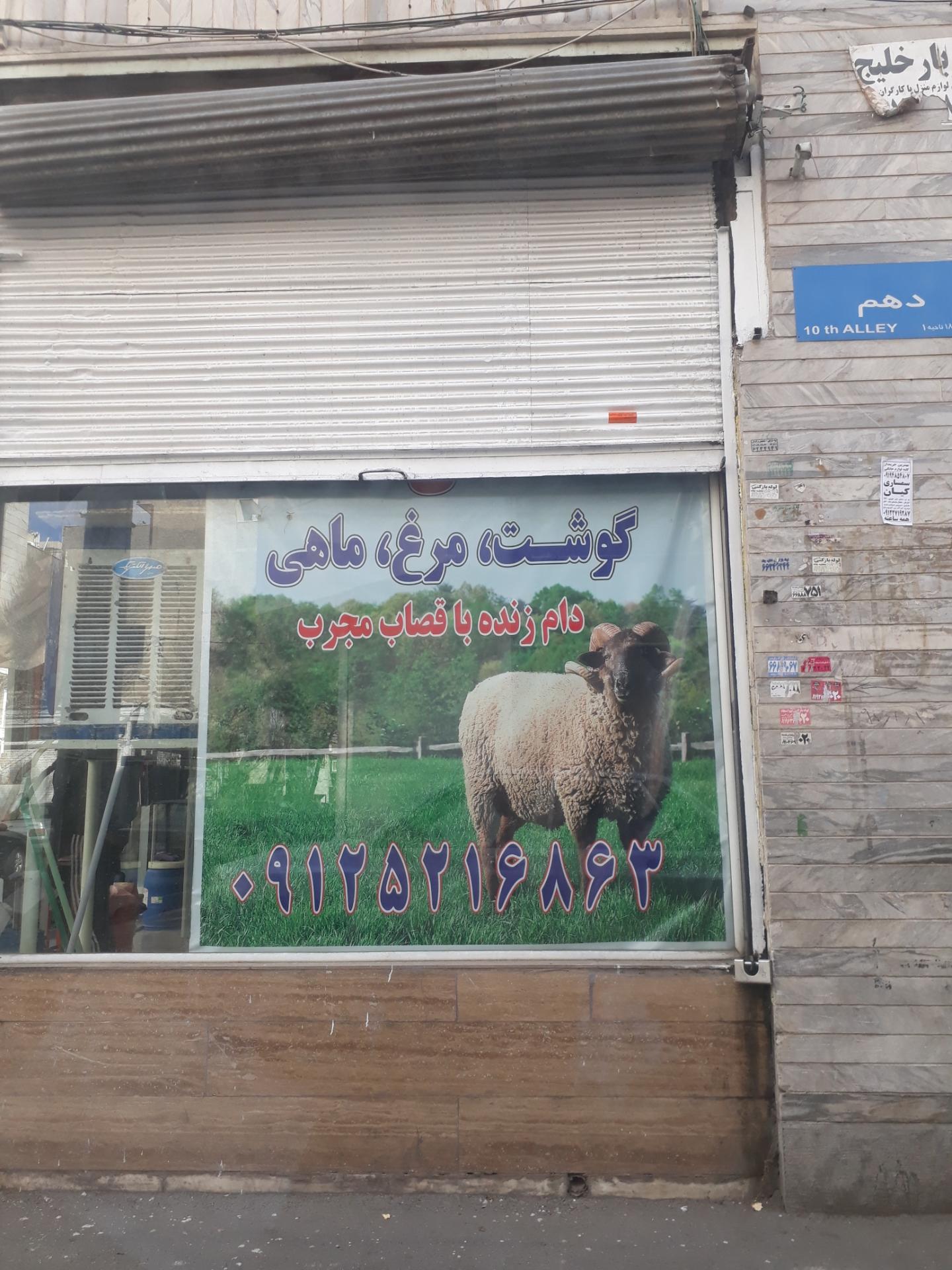 عکس مرغ و ماهی