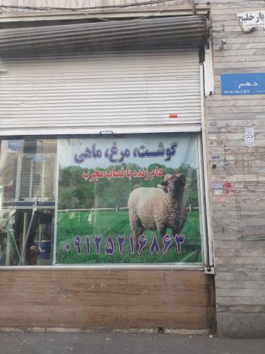 عکس مرغ و ماهی