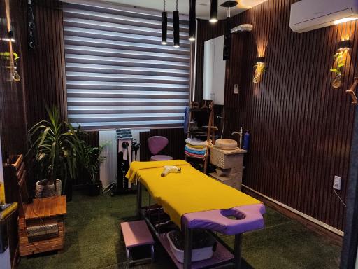 عکس ماساژ سینوهه