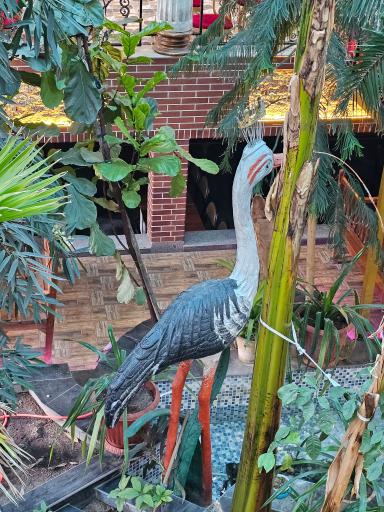 عکس رستوران اسکله