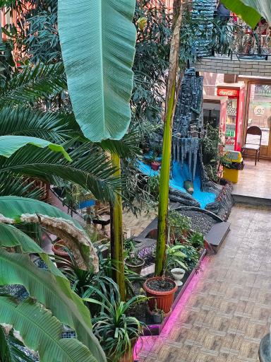 عکس رستوران اسکله