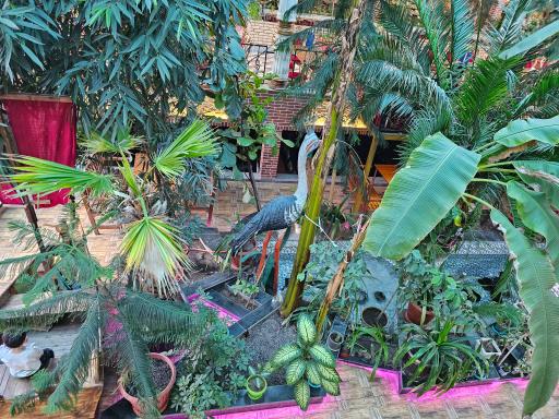 عکس رستوران اسکله