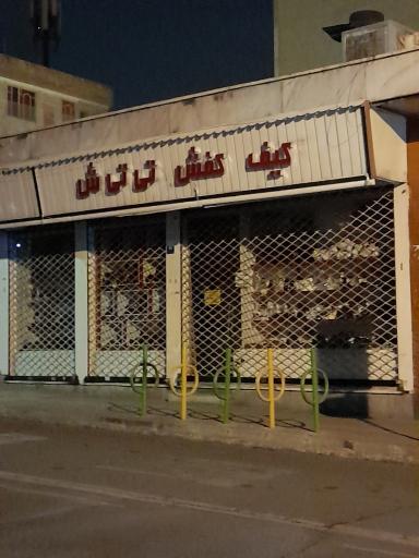 عکس کیف و کفش تی تی ش