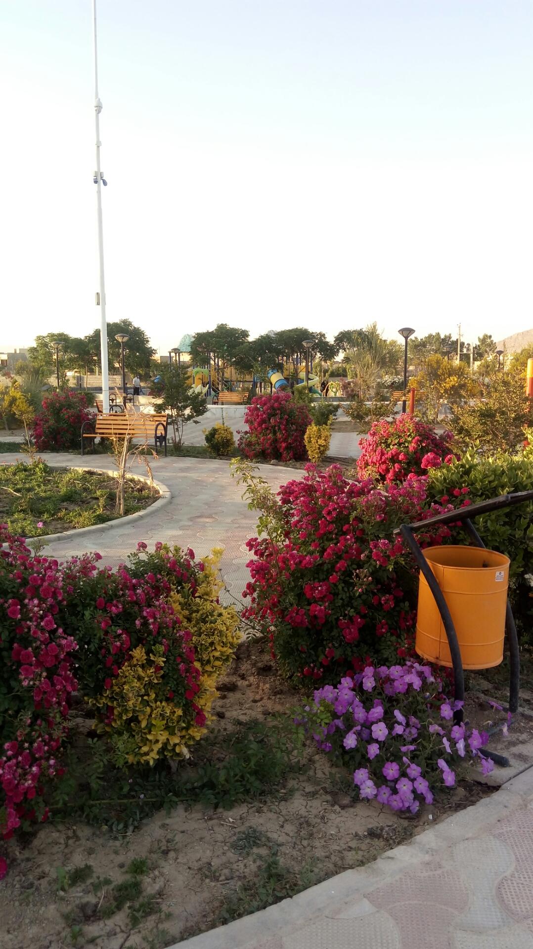 عکس پارک
