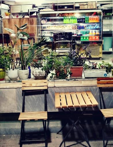 عکس فوکاچیا