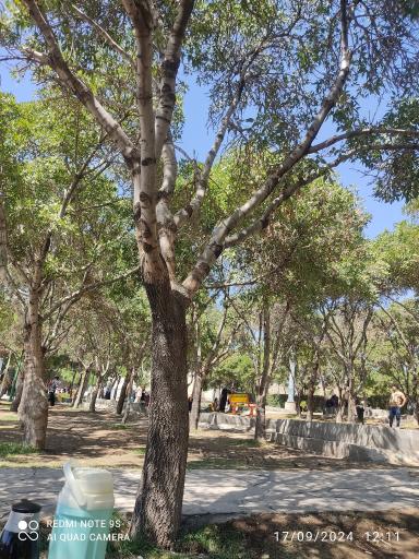 عکس بوستان مسافر