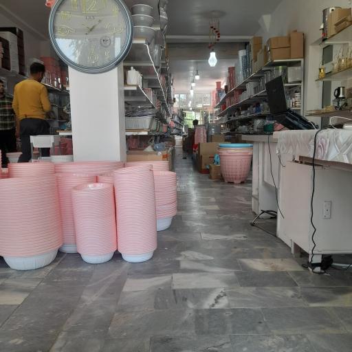 عکس پلاسکو شکرانی