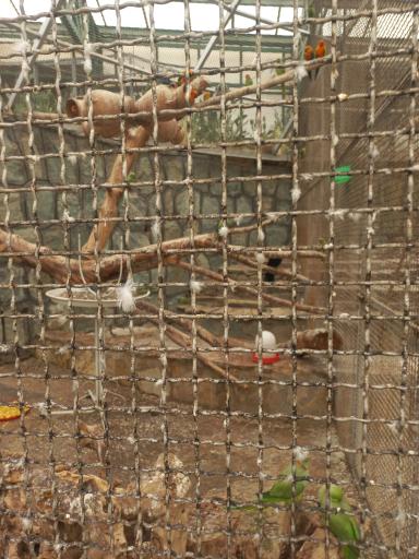 عکس بوستان مسافر