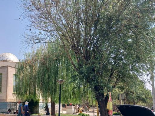 عکس بوستان مسافر