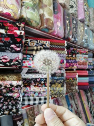 عکس پارچه سرای اَکسون 