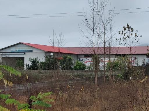 عکس معاینه فنی خودروهای سبک