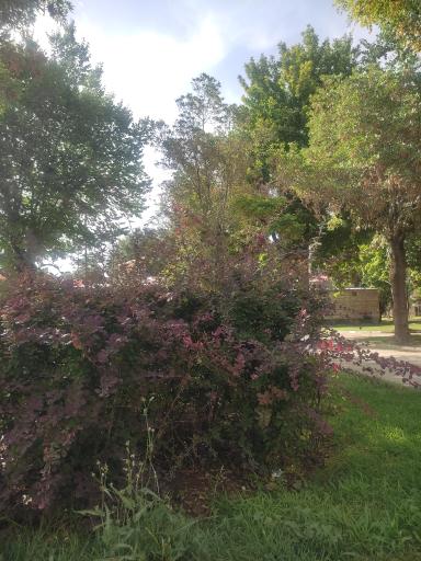 عکس بوستان باهنر