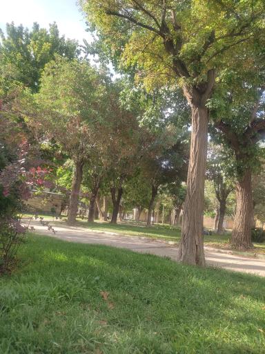 عکس بوستان باهنر