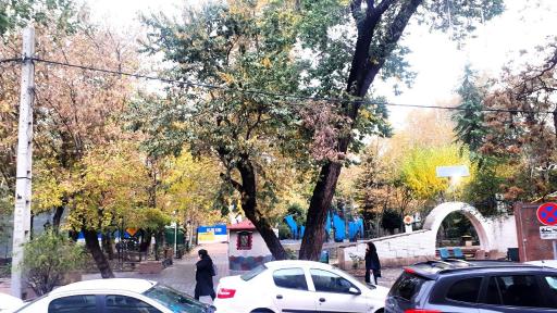 عکس بوستان خلیج فارس