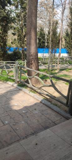 عکس بوستان خلیج فارس