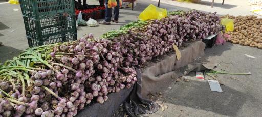 عکس جمعه بازار 