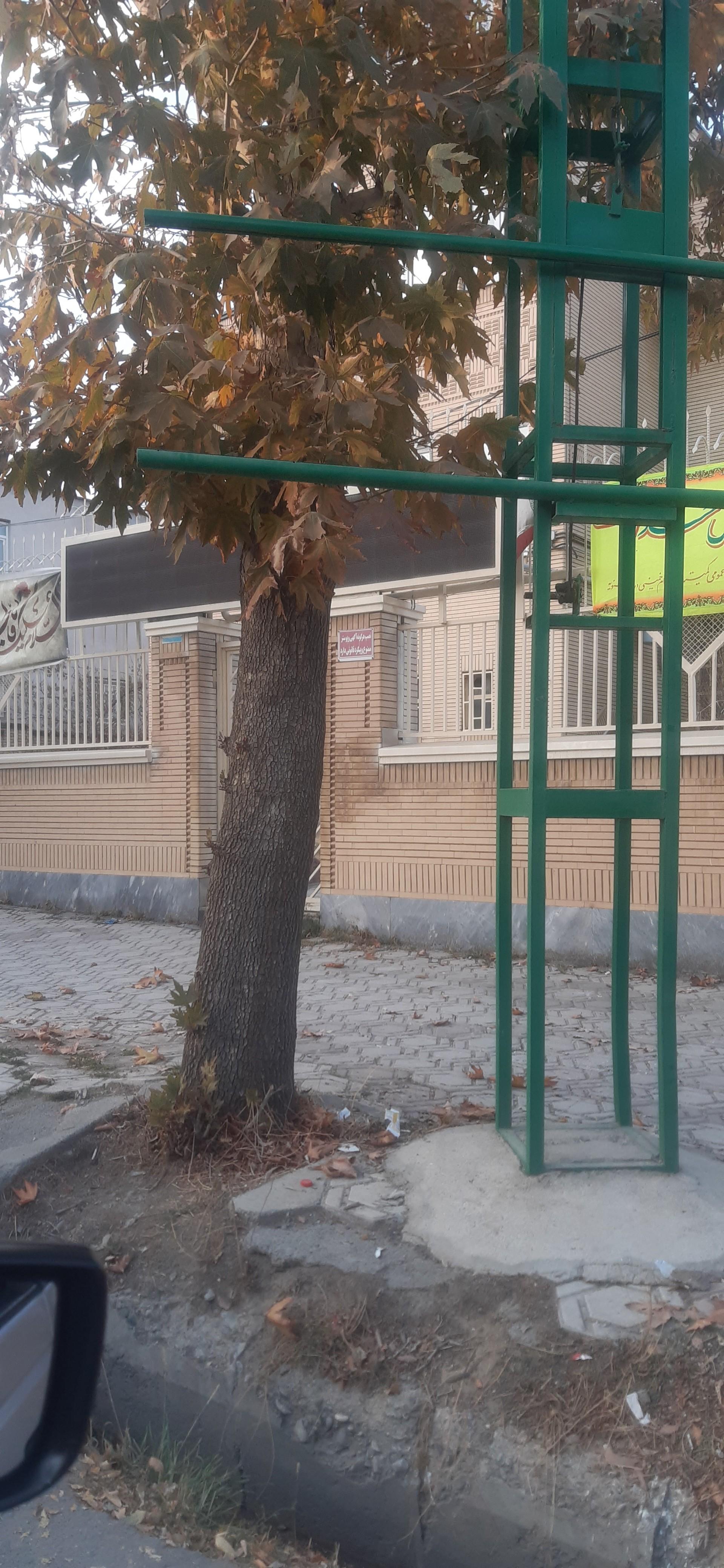 عکس کمیته امداد امام خمینی اشنویه 