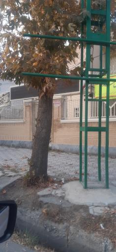 کمیته امداد امام خمینی اشنویه 