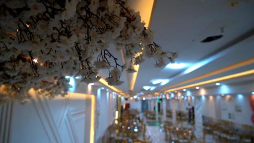 عکس تالار سناتور