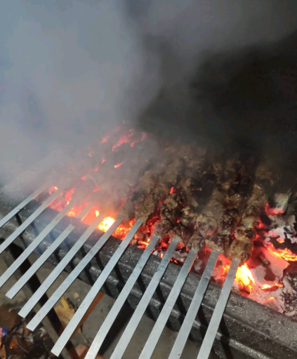 عکس چلوکبابی برادران صلاحی