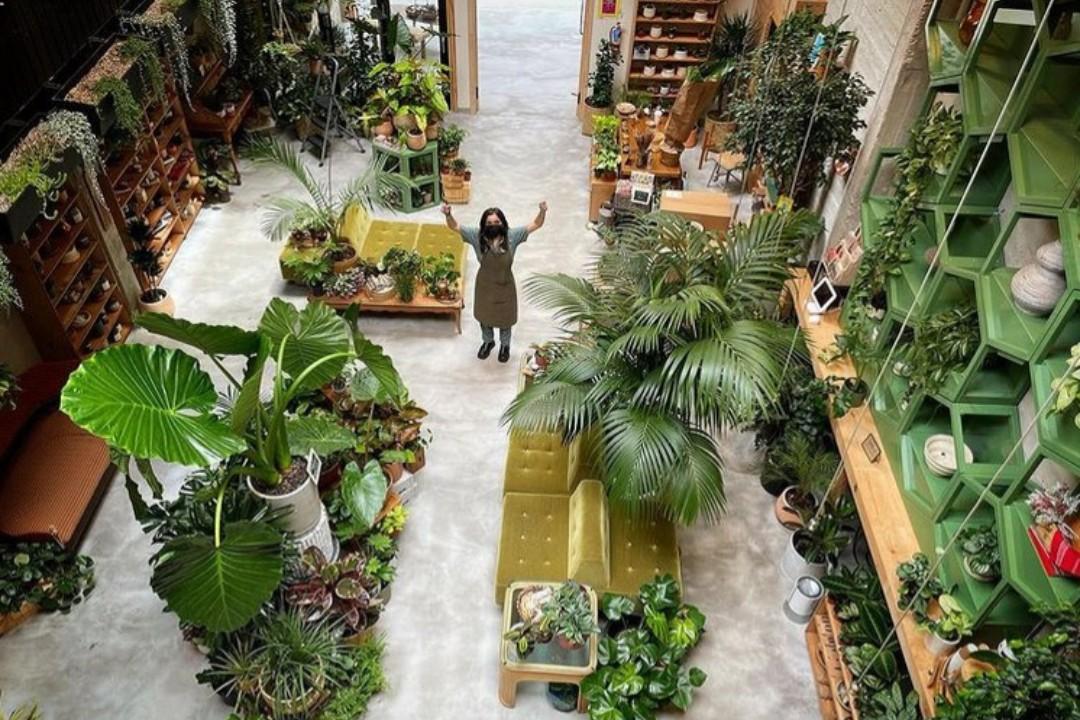 عکس گلفروشی پینک 