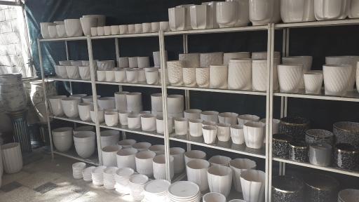 عکس گلخانه گل مایسا