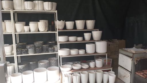 عکس گلخانه گل مایسا