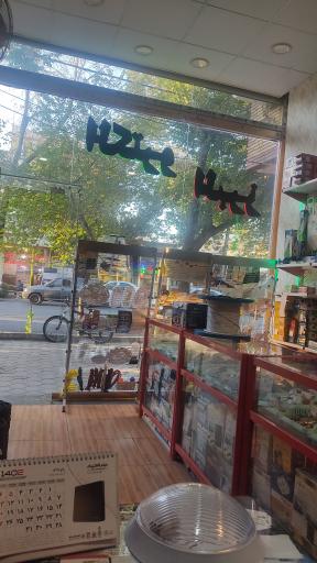 عکس الکترو البرز