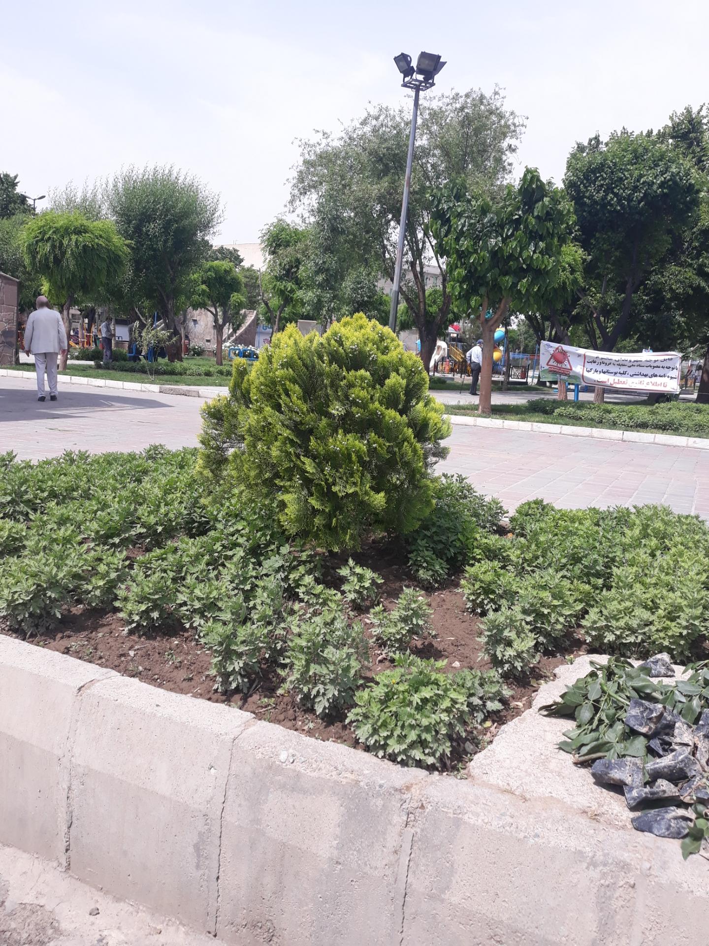 عکس بوستان منظریه