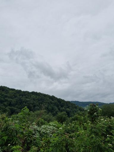 عکس سی پی