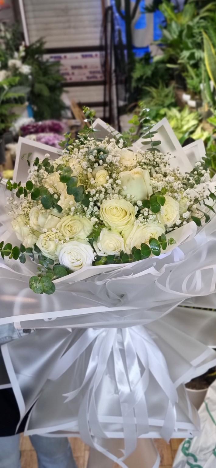 عکس گل فروشی تی رز (خلج)