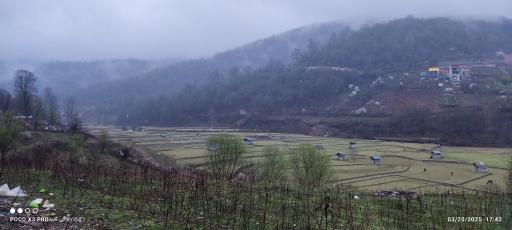 عکس سی پی