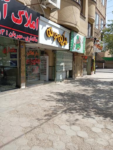 عکس گالری یکی یه دونه