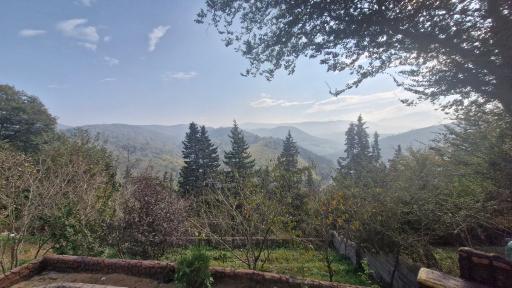 عکس سی پی