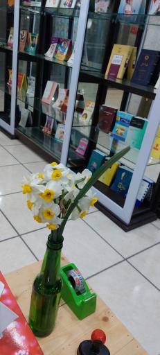 عکس دیوار آموزشی فرهنگی ضحی