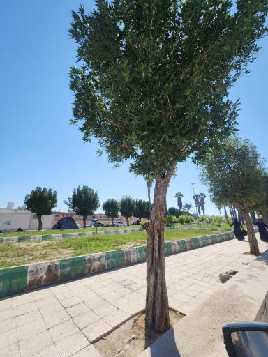 عکس بوستان دانش آموز