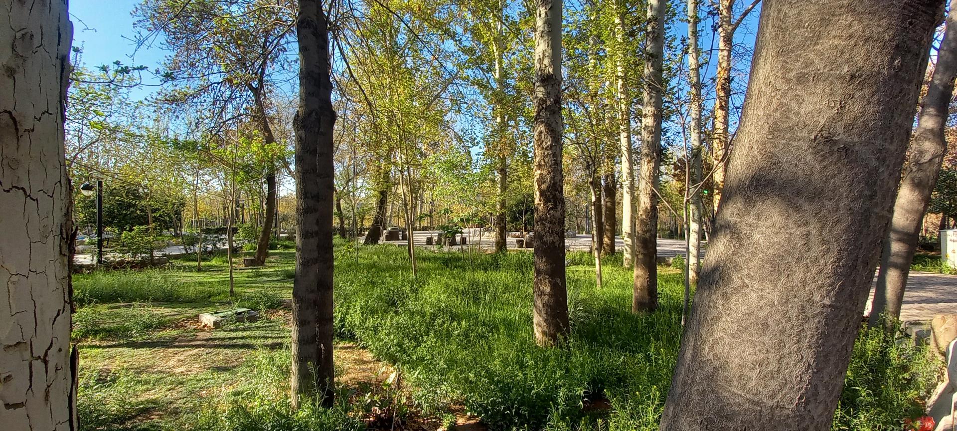 عکس پارک بانوان ریحانه