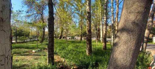 پارک بانوان ریحانه