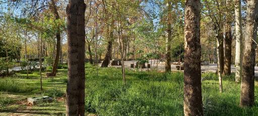 پارک بانوان ریحانه