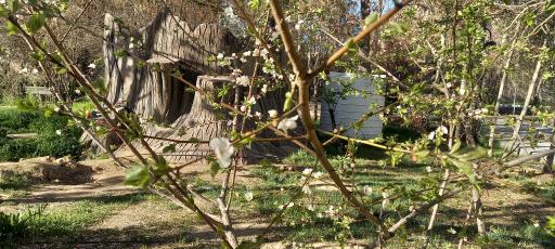 عکس پارک بانوان ریحانه