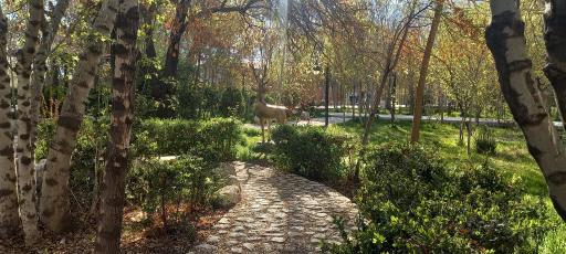 عکس پارک بانوان ریحانه