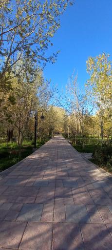 عکس پارک بانوان ریحانه