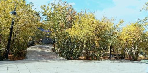 عکس پارک بانوان ریحانه